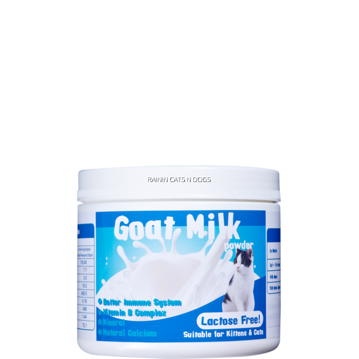 large dogs allowed houses for rent